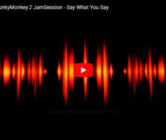 Say What You Say by Monkey